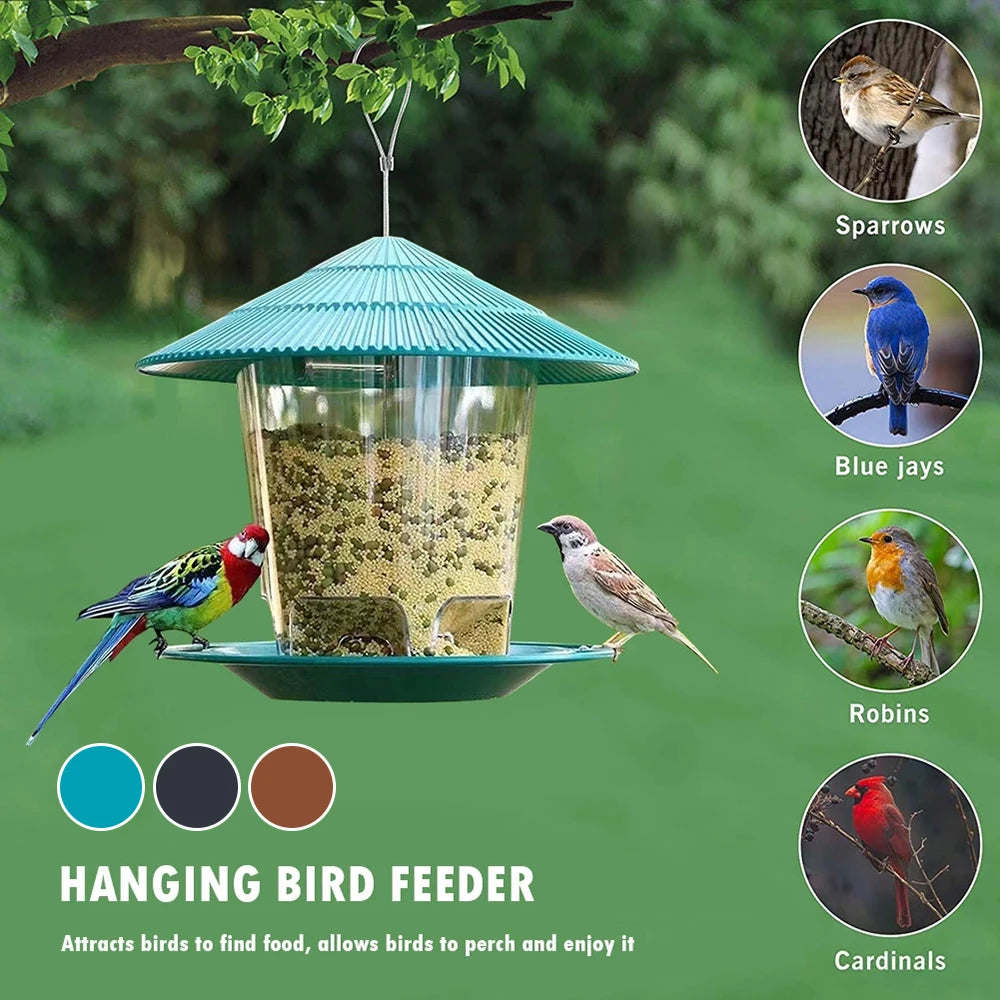 Hanging Outdoor Bird Seed and Peanut Feeder