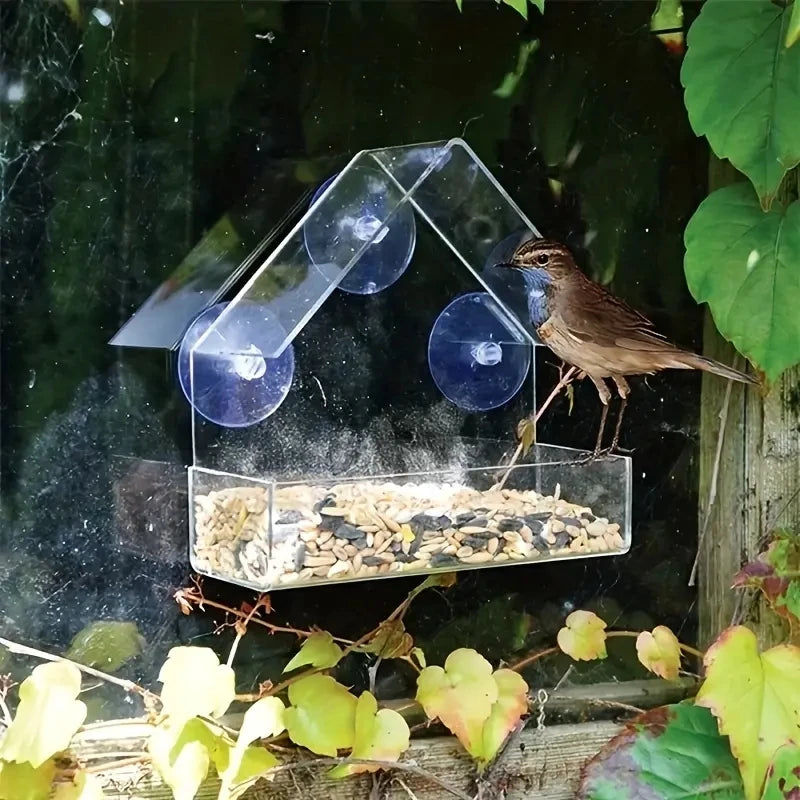White Acrylic Outdoor Window Bird Feeder with Suction Cups