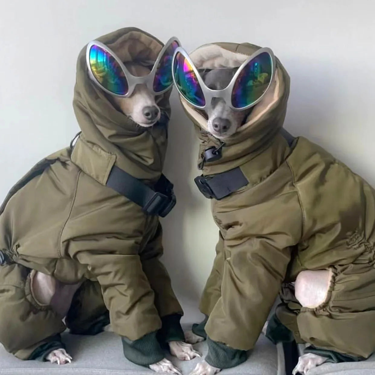 Thickened Winter Dog Jacket - Full Neck Coverage