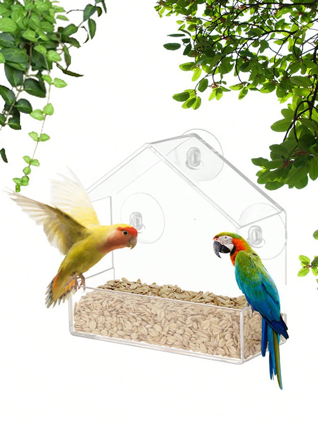 White Acrylic Outdoor Window Bird Feeder with Suction Cups