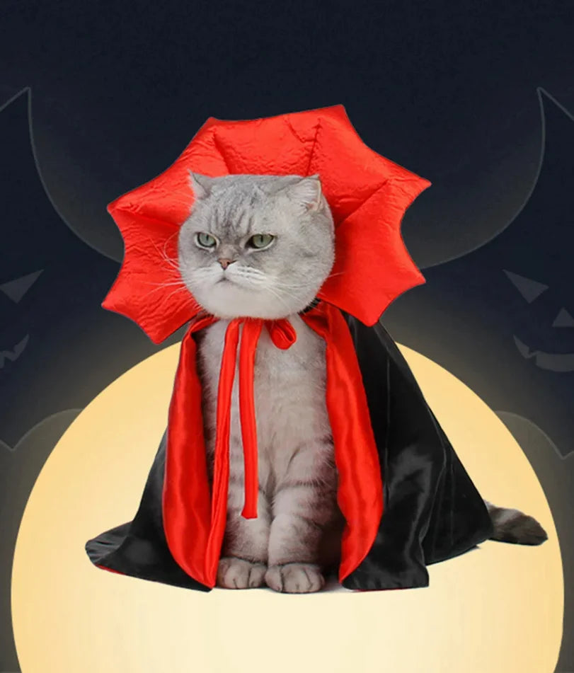 Vampire Cloak Pet Costume - Cute Halloween Outfit